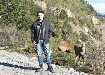 Con voto favorable de diputado Calisto se aprueba proyecto que prohíbe plástico en expendio de alimentos