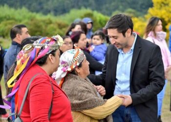 Diputado Calisto resalta avance legislativo de proyecto que declara feriado el 24 de junio para celebrar a los pueblos indígenas
