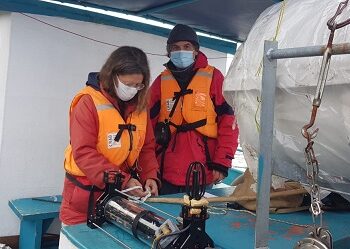 Monitoreo acústico en Fiordo Puyuhuapi aportará al conocimiento sobre cetáceos