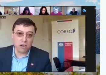 Consejo Regional Aysén rechazó propuesta de CORFO que pretendía inyectar recursos a los proveedores de servicios acuícolas
