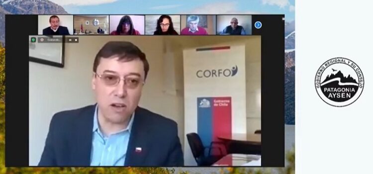 Consejo Regional Aysén rechazó propuesta de CORFO que pretendía inyectar recursos a los proveedores de servicios acuícolas
