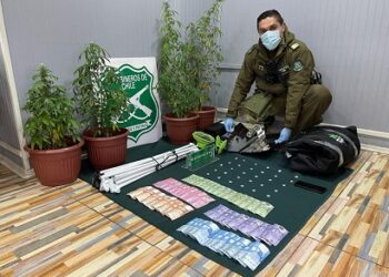 Carabineros del O.S.7 Aysén junto a la Fiscalía detuvo a sujeto y decomisó marihuana avaluada en aproximadamente 12 millones de pesos