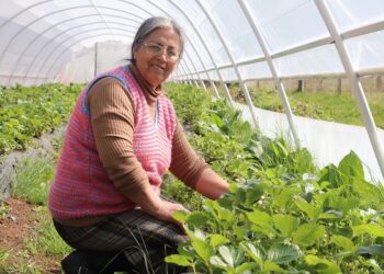 Programa Mujeres Rurales del Convenio INDAP –PRODEMU