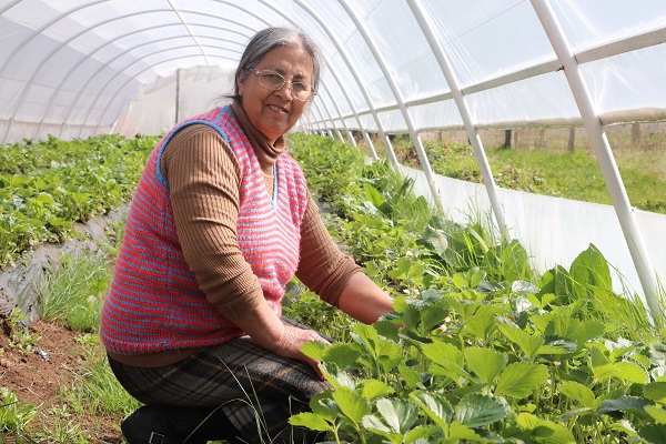 Programa Mujeres Rurales del Convenio INDAP –PRODEMU