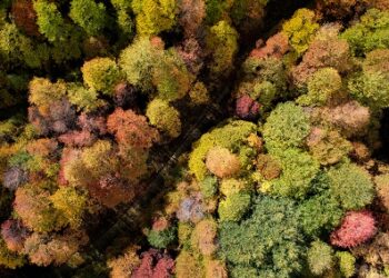Derechos de la Naturaleza en la Nueva Constitución en seminario que convoca a universidades de todo Chile