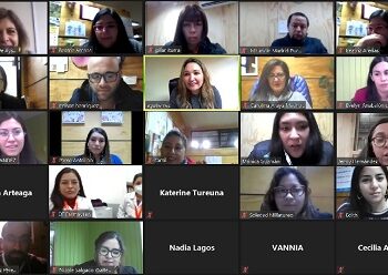 Dirigentas/es y funcionarias/os municipales participaron en talleres sobre Violencia de Género de SernamEG