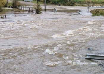 Contingencia climática en la comuna de Cisnes