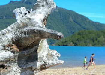 CORE Aysén incentiva formalización de microempresas turísticas en Lago Verde