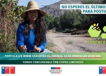 Este miércoles finaliza postulación al Capital Abeja 2021