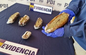 PDI y Fiscalía logran detención y prisión preventiva de sujeto que intentó ingresar más de un kilo de marihuana por el aeropuerto de Balmaceda