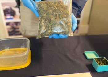 Tras denuncia anónima: Desbaratan nuevo caso de tráfico de drogas en Coyhaique