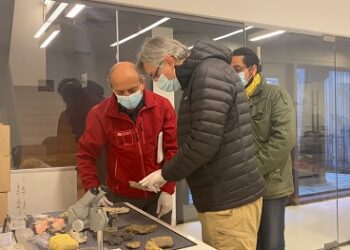 Programa FNDR de Minería aumentó en cientos el número de ejemplares fósiles para el Museo Regional de Aysén
