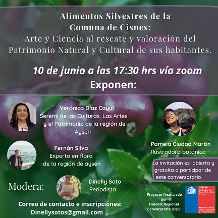 Conversatorio online unirá arte y ciencias en torno a Alimentos Silvestres de los bosques de Aysén