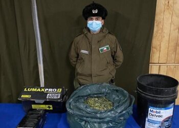 Carabineros de la S.I.P de Chile Chico en coordinación con la Fiscalía decomisó más de 1 kilo 400 grs. de cannabis sativa al interior de un galpón