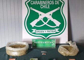 Intentan ingresar un pollo asado repleto de droga a cárcel de Coyhaique