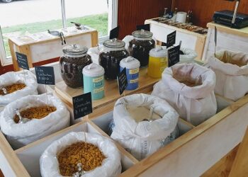 Iniciativas regionales que buscan reutilizar desechos serán apoyadas por Corfo