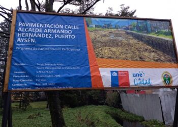 Concejala Villarroel presentó ante el Concejo inconvenientes en pavimentación de calle Armando Hernández