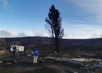 PDI y Fiscalía indagan el origen del incendio en Parque Nacional Patagonia