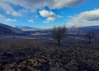 Incendio Forestal Ñandú en Cochrane se encuentra controlado y afectado 1.273 hectáreas