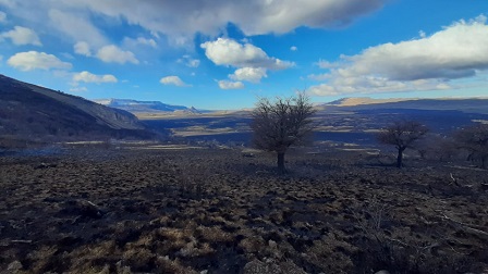 Incendio Forestal Ñandú en Cochrane se encuentra controlado y afectado 1.273 hectáreas