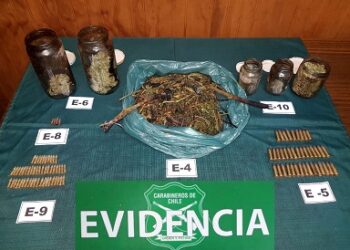Fiscalía de Cochrane formalizó investigación por hallazgo de casi medio kilo de marihuana y 93 cartuchos de distinto calibre