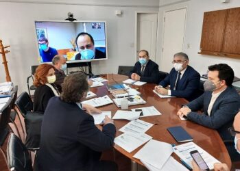 Consejeros Regionales plantean prioridades sanitarias de Aysén a Subsecretario de Redes Asistenciales