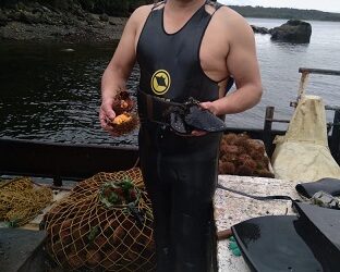 Pescadores Artesanales buscan apurar funcionamiento de Comité Bentónico Regional
