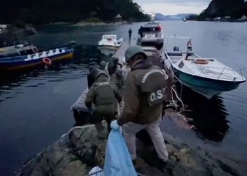 Carabineros del O.S.7 en conjunto con la Fiscalía realizan inédito operativo antidrogas en Puerto Gala