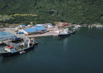 El crecimiento colaborativo, integral y sustentable fue tratado en el primer encuentro del Consejo Ciudad Puerto del año 2021