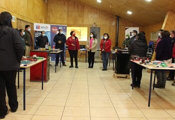 En Cochrane 20 alumnos/as se capacitan en Mantención e Instalación de Estufas a Pellet
