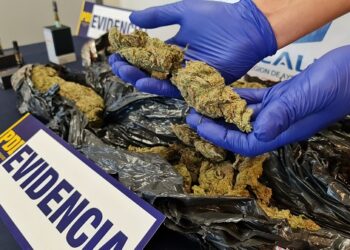 PDI y Fiscalía detuvieron en flagrancia a dos personas tras controles antidrogas con ejemplares caninos
