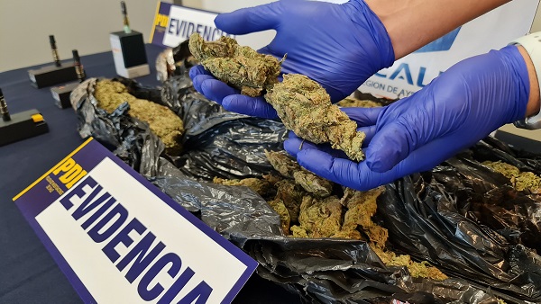 PDI y Fiscalía detuvieron en flagrancia a dos personas tras controles antidrogas con ejemplares caninos
