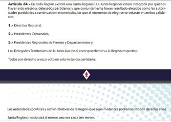 Alcalde, concejales, Cores y militantes acusan fraude en elección que priorizó a Patricio Aylwin como candidato a diputado de la DC