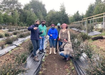Profesionales en Berries dictan charlas y participan de actividades en terreno para colaborar con los productores de la comuna de Cisnes