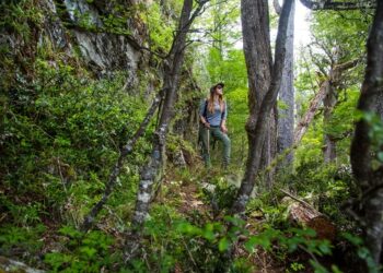 Comuna de Cisnes apuesta por el desarrollo de rutas turísticas para encantar al visitante regional y nacional