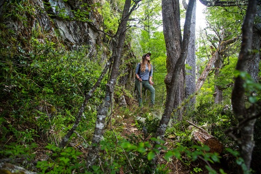 Comuna de Cisnes apuesta por el desarrollo de rutas turísticas para encantar al visitante regional y nacional