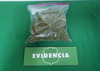 Carabineros de Puerto Aysén detuvo a sujeto por agresión en violencia intrafamiliar e infracción a la ley de drogas