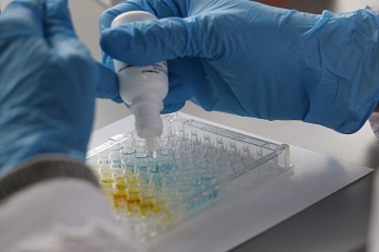 Taller participativo marcó temas claves para el futuro de la Ciencia Austral