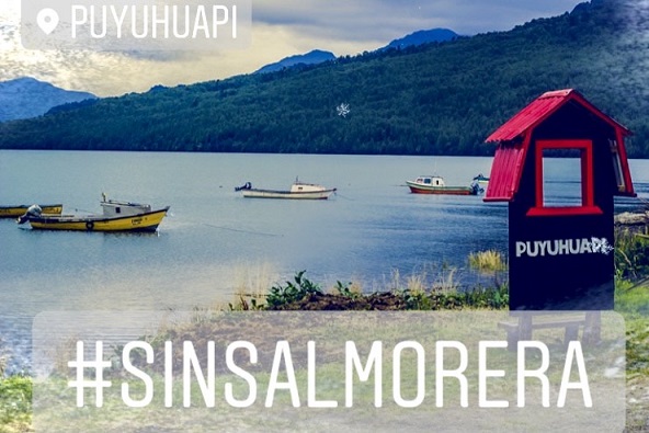 Comunidad de Puyuhuapi sorprendida por instalación de balsas jaulas en plena bahía durante la madrugada