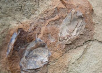 Ya está disponible la guía interpretativa del Proyecto Rutas Interactivas e inclusivas de Jeinimeni