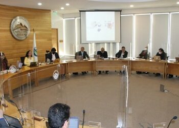 Comité Directivo del Servicio Local de Educación se encuentra en pleno proceso para crear perfil del director ejecutivo de los SLEP