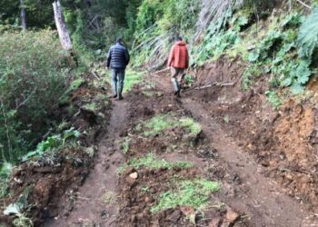 INDAP y Gobierno Regional apuestan a la reactivación económica del sector rural