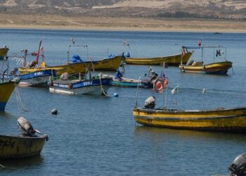 ORGANIZACIONES DE PESCADORES ARTESANALES PODRÁN OPTAR A FONDO DE GOBIERNO PARA CUBRIR GASTOS BÁSICOS Y OPERACIONALES