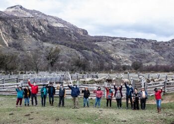 Familias de Río Norte fortalecen la producción ovina gracias a proyecto financiado por el FOSIS