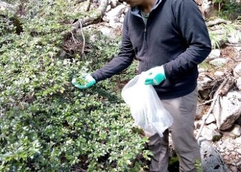 Estudiante de la Universidad de Chile realizó investigación de tesis en laboratorios de la UAysén