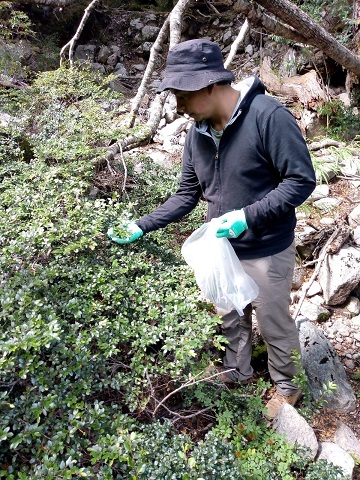 Estudiante de la Universidad de Chile realizó investigación de tesis en laboratorios de la UAysén