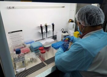 Puerto Cisnes registra incremento de casos COVID-19 asociados a probable variante Delta