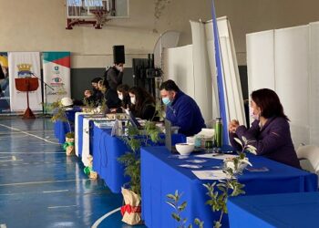FERIA LABORAL OMIL CONGREGÓ A CERCA DE 30 EMPRESAS EN COYHAIQUE