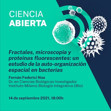 Ciencia Abierta de Explora Aysén invita conocer sobre fractales en bacterias a través de la microscopía y proteínas fluorescentes