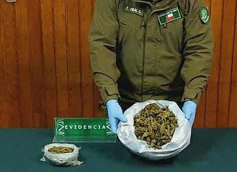 Detienen en la Junta a dos sujetos y decomisan marihuana avaluada en más de 8 millones de pesos